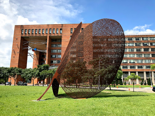 National Tsing Hua University (NTHU)